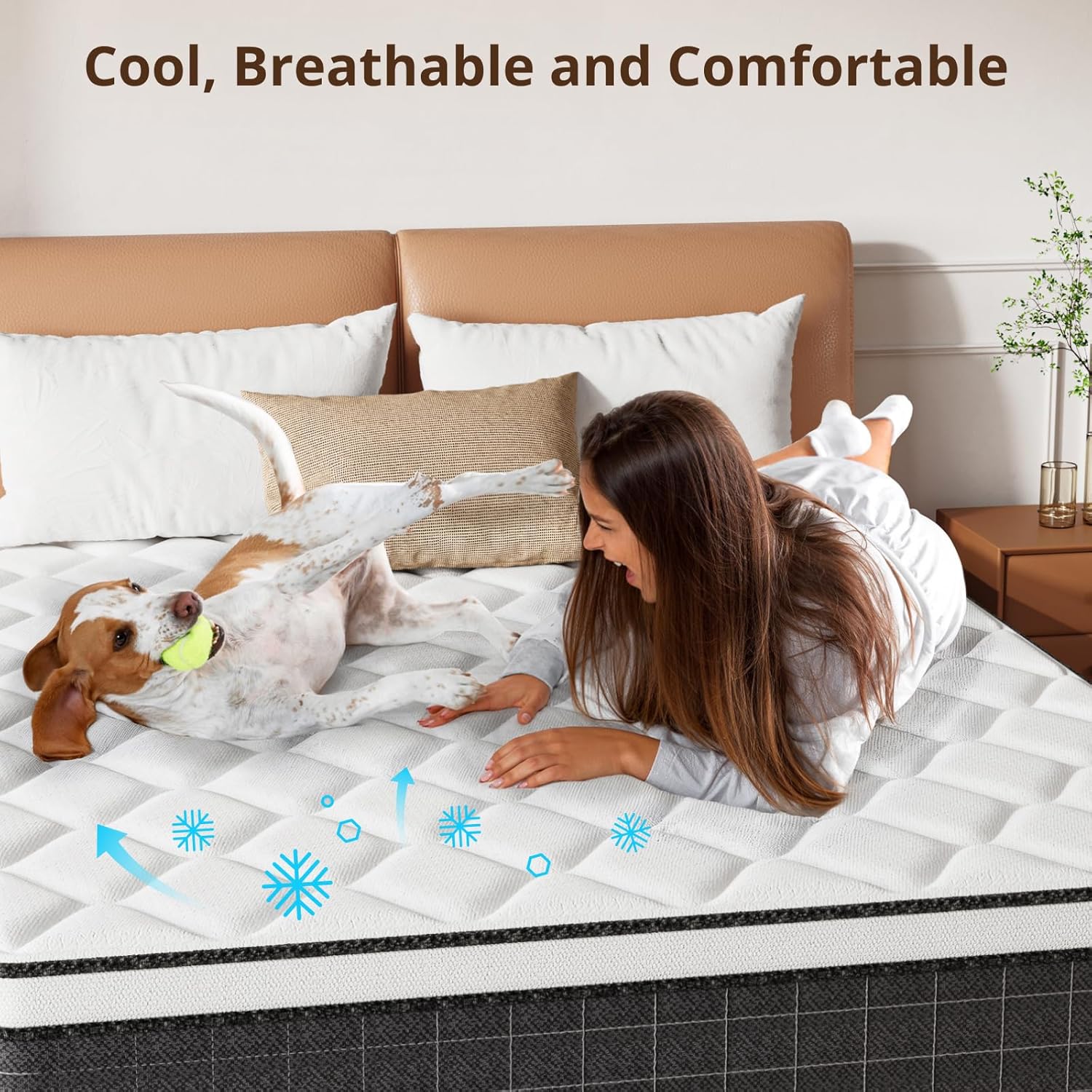 10/12 Inch Fiberglass-Free Hybrid Mattress in a Box
